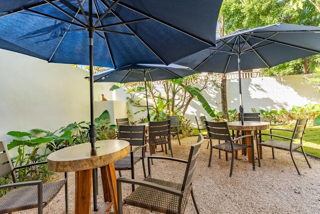 Artec Studios Tulum Mexico